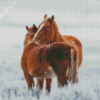 Adotable Winter Horses Diamond Paintings