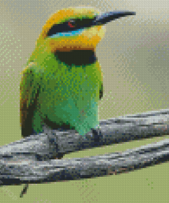 Aesthetic Bee Eater Diamond Paintings