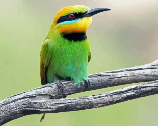 Aesthetic Bee Eater Diamond Paintings