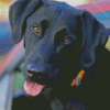 Aesthetic Black Labs Diamond Paintings