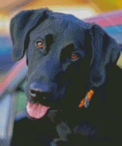 Aesthetic Black Labs Diamond Paintings