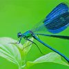 Aesthetic Blue Dragonfly Insect Diamond Paintings