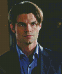 Aesthetic Daniel Gillies Diamond Paintings