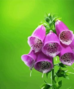 Aesthetic Foxglove Illustration Diamond Paintings