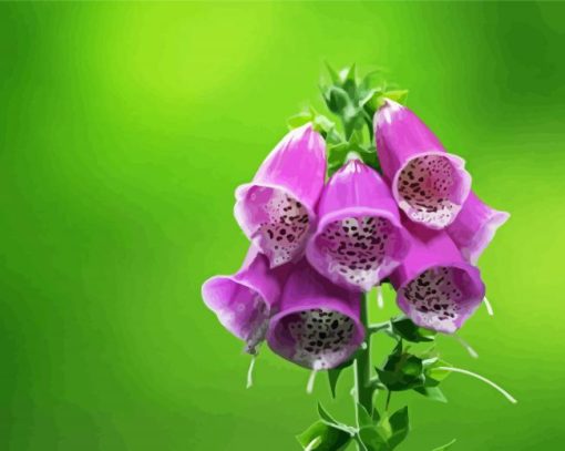 Aesthetic Foxglove Illustration Diamond Paintings