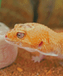 Aesthetic Leopard Gecko Diamond Paintings