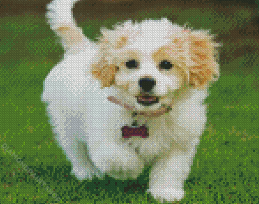 Aesthetic Cavachon Dog Diamond Paintings