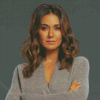 Aesthetic Emmanuelle Chriqui Diamond Paintings