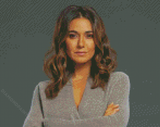 Aesthetic Emmanuelle Chriqui Diamond Paintings