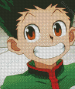 Aesthetic Gon Freecss Diamond Paintings