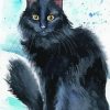 Black Fluffy Kitty Diamond Paintings