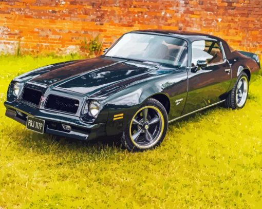 Black Pontiac Firebird Car Diamond Paintings