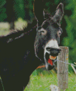 Black Smiling Donkey Diamond Paintings