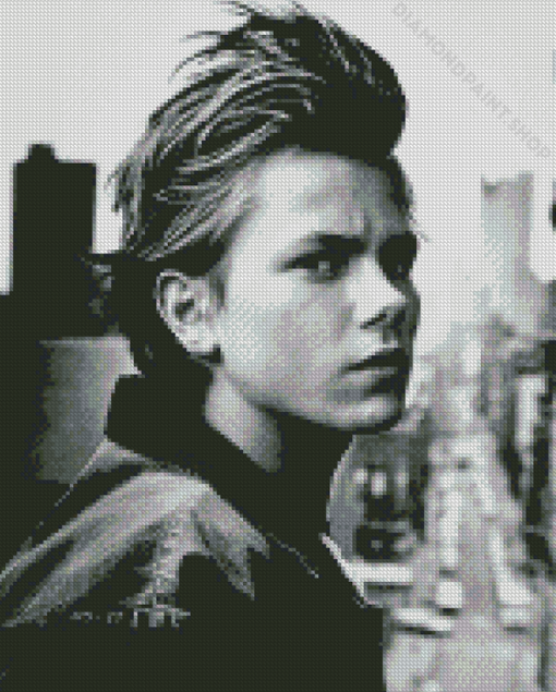 Black And White River Phoenix Diamond Paintings