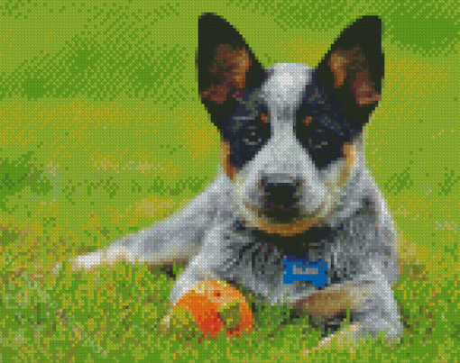 Blue Cattle Dog Art Diamond Paintings