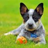 Blue Cattle Dog Art Diamond Paintings