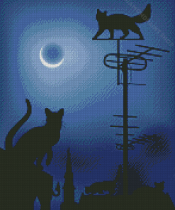 Cats OnThe Roofs In The Night Diamond Paintings