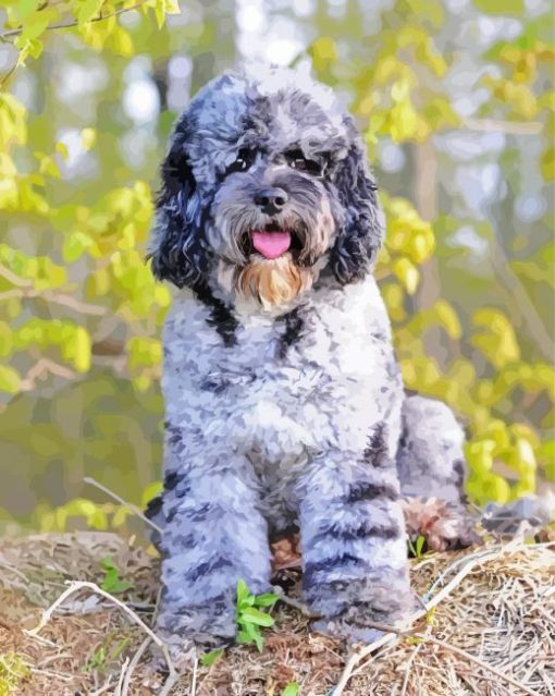 Cool Merle Labradoodle Diamond Paintings