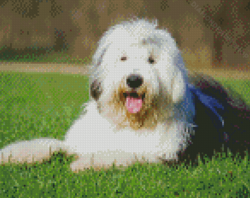 Cute Old English Sheepdog Diamond Paintings