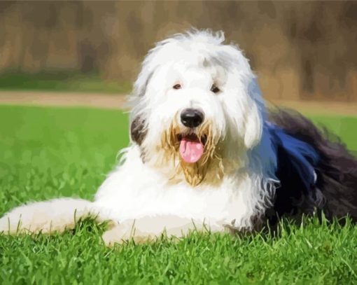 Cute Old English Sheepdog Diamond Paintings