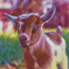 Cute Goat Baby Diamond Paintings