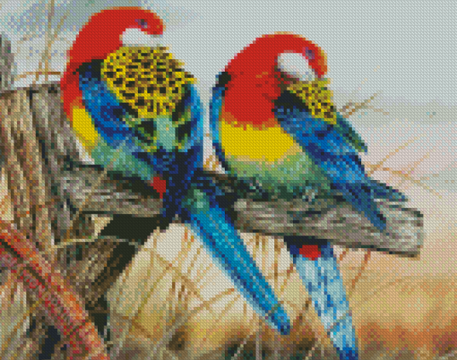 Eastern Rosellas Diamond Paintings