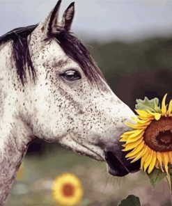 Head Horse With Sunflowers Diamond Paintings