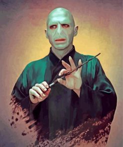 Lord Voldemort Art Diamond Paintings