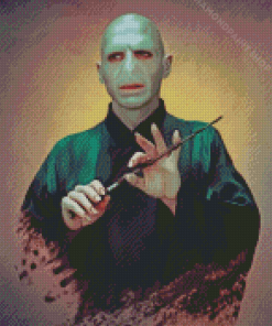 Lord Voldemort Art Diamond Paintings