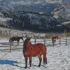 Mountains Winter Horses Diamond Paintings