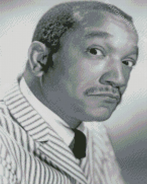 Monochrome Redd Foxx Diamond Paintings