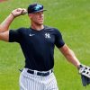 Aaron Judge Diamond Paintings