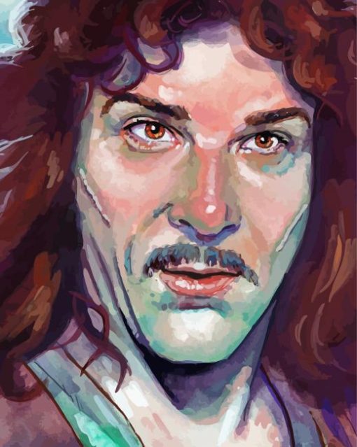 Aesthetic Inigo Montoya Illustration Diamond Paintings