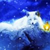 Arctic Fox And Lantern Diamond Paintings