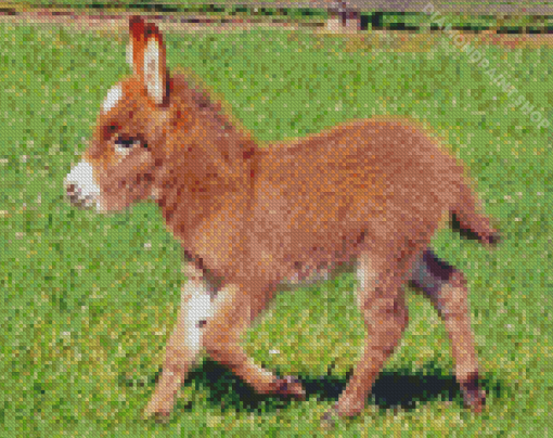 Beautiful Mini Donkey Diamond Paintings