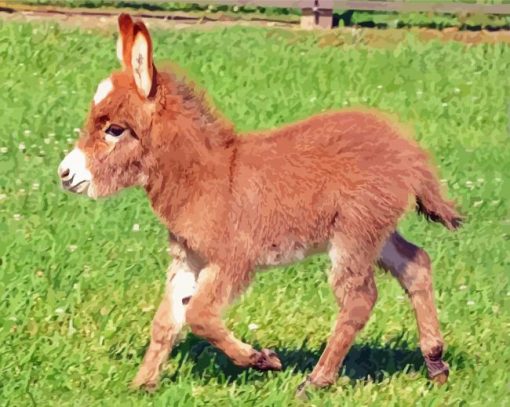 Beautiful Mini Donkey Diamond Paintings