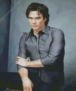 Damon Salvatore Ian Somerhalder Diamond Paintings