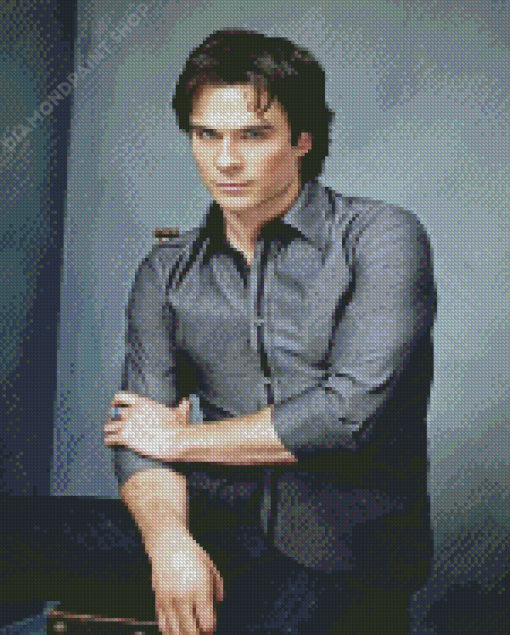 Damon Salvatore Ian Somerhalder Diamond Paintings