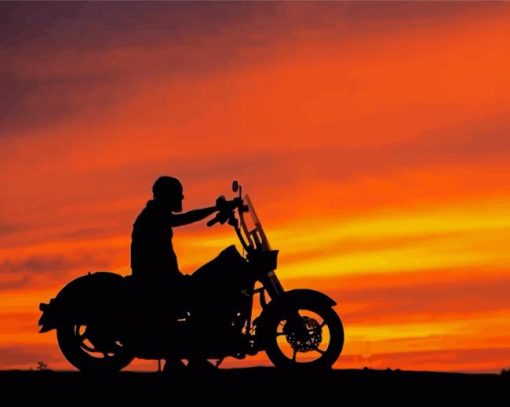 Harley Driving Into Sunset Diamond Paintings