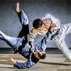 Jiu Jitsu Sport Diamond Paintings