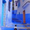 Moroccan Cat Diamond Paintings