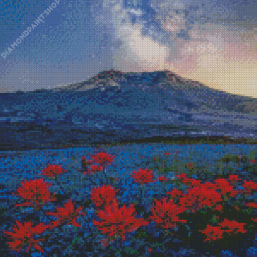 Mt St Helens With Red Poppies Diamond Paintings