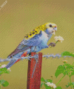 Pale Headed Rosella And Flowers Diamond Paintings