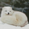 Sleepy Arctic Fox Diamond Paintings