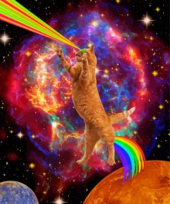 Space Cat Art Diamond Paintings