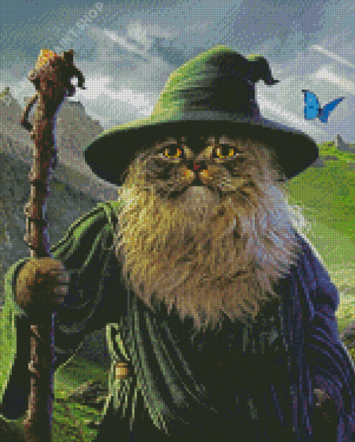 Wizard Cat With Beard Diamond Paintings