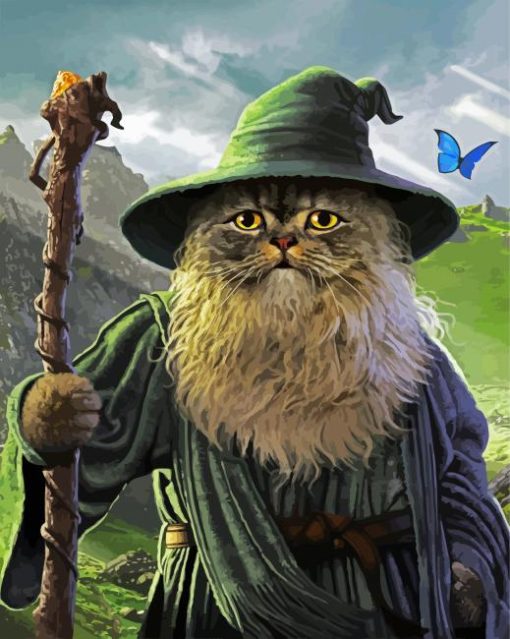 Wizard Cat With Beard Diamond Paintings