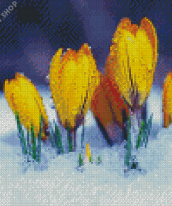 Yellow Spring Flower In Snow Diamond Paintings