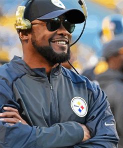 Cool Mike Tomlin Diamond Paintings