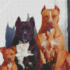 Cute Pit Bull Family Diamond Paintings